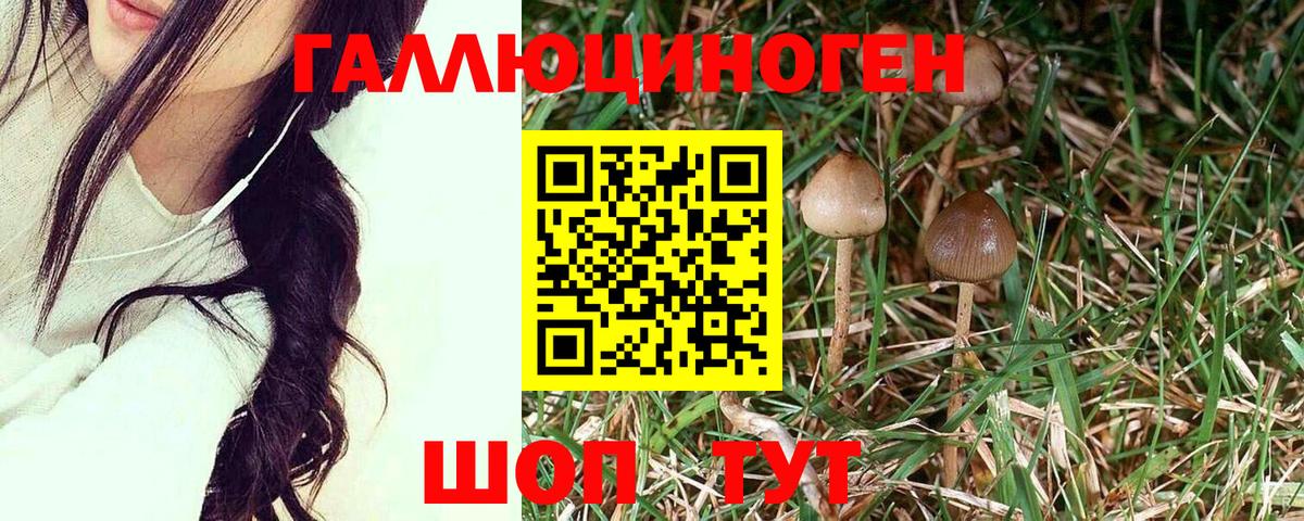 Сердобск  Галлюциногенные грибы мицелий  Вход с VPN 