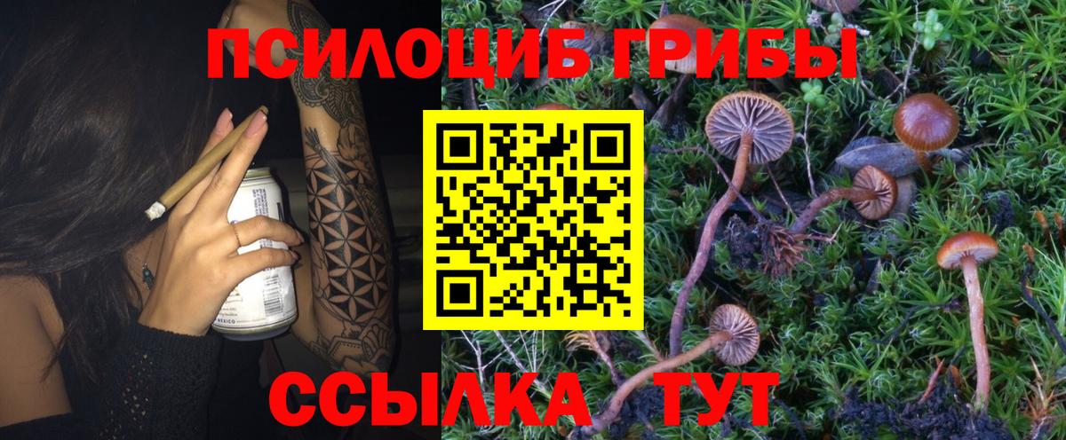 Псилоцибиновые грибы Magic Shrooms Сердобск